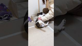 遊ぶ事より大切な事がある