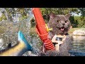 Gone Fishing by AaronsAnimals 2 years ag Gone Fishing by AaronsAnimals 2 years ag