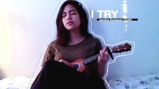 I Try - Jasmine Thompson | SONG COVER