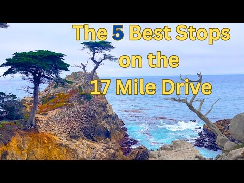 The 5 Best Places on the 17-Mile Drive in Pebble Beach Things to Do