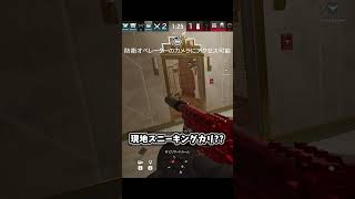 現地スニーキングで破壊するカリ【シージ/R6S】