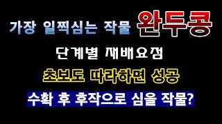[텃밭농부. 1,329]  가장 일찍 심는 작물 완두콩. 단계별 재배요점 정리 #완두콩재배
