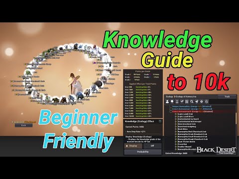 Bdo Codex Knowledge