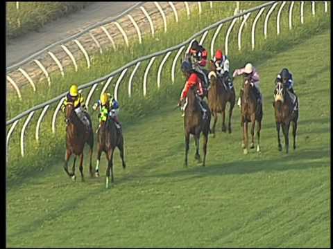 Galoppo 06/07/2016 - 3° corsa