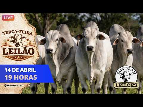 VALE DO BOI LEILOES - INHUMAS GO  - LEILAO VIRTUAL E PRESENCIAL -  14/04/ 2026