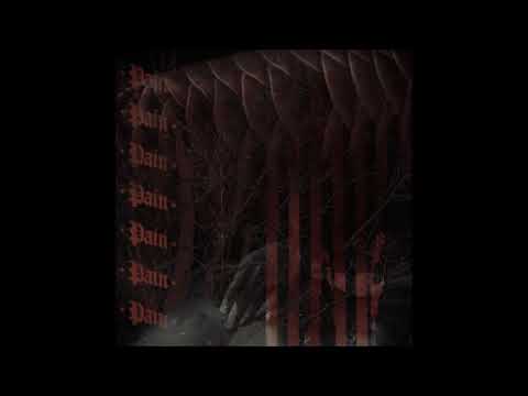 18. SWARM - RAPINE (CLIP) [22.05.2019]