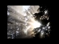 ARROWWOOD - All Things Rise 