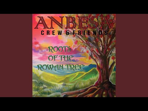 Someday (feat. Sie7e, Misael Gonzalez, Don Carmelo, Bebo Rodriguez, Henry Llavina, Hector...