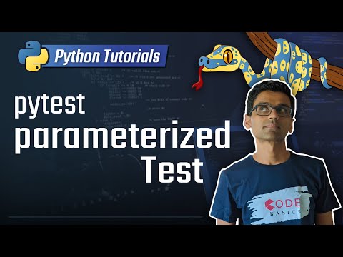 Python unit testing pytest parameters