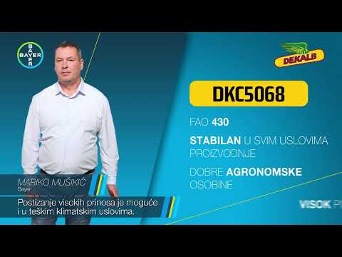 Hibrid KUKURUZA DKC 5068, FAO 430 - U nasem ataru