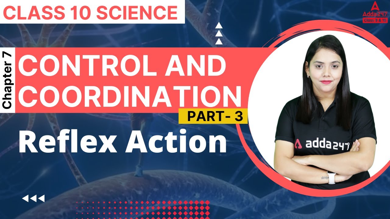 Reflex Action | Control and Coordination Class 10 | Science Chapter 7 | By Shipra Ma'am Board 2023