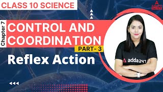 Reflex Action | Control and Coordination Class 10 | Science Chapter 7 | By Shipra Ma'am Board 2023