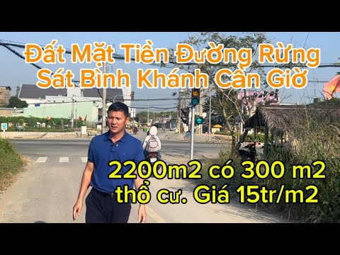 ĐẤT MẶT TIỀN RỪNG SÁT XÃ BÌNH KHÁNH CẦN GIỜ