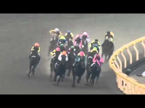 2015.11.08 Ginrei Stakes (JPN) - Anzuchan