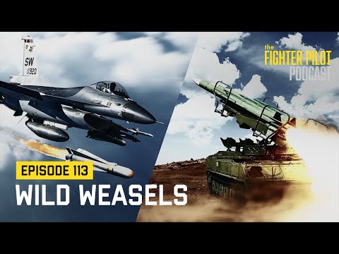 113 - Wild Weasels