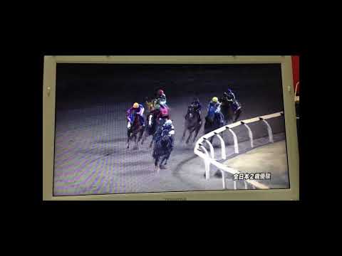 全日本2歳優駿（川崎）2019.12.18　 #南関東競馬