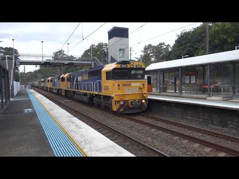 8209 / 8237 / 8235 / 8228 with PN loaded grain 5136 - 22/4/23