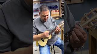 Cavaco Imbuia Elite Tradicional