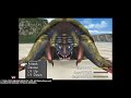 FF8 Vit Farming With Devour And Adamantine