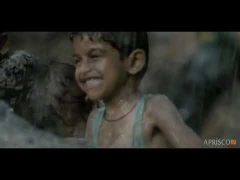 O Menino e a Árvore (Liderança pelo exemplo)