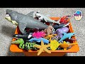 GIANT BOX OF 100 SEA ANIMALS - Shark Whale Octopus Dolphin StarFish