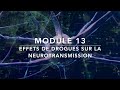 Drogues et Transmission Synaptique : Ecstasy, Cannabis et Neurotransmetteurs