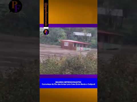 IMAGENS IMPRESSIONANTES Correnteza do Rio das Antas Leva Casa Entre Bento e Cotiporã
