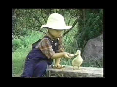 Song "Quacky the duck" Children's Music Video