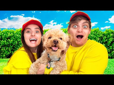 DANI HA ADOTTATO UN CUCCIOLO DI CANE DI NASCOSTO! 🐶