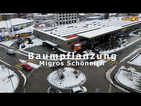 Baumpflanzung Migros Schöneich