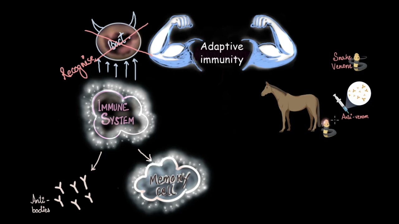 Active & Passive immunity | Human health & diseases | Subject | Khan Academy