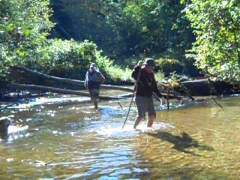 Gator meets the Indian Guide Baldeep UTA 2013