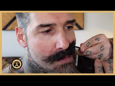 Bart-Schnurrbart-zu-Van-Dyke-Transformation! Ja oder Nein?