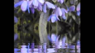 Ho&#39;oponopono Cleaning Meditation Cleaning Memories with Ho&#39;oponopono Self-Cleaning