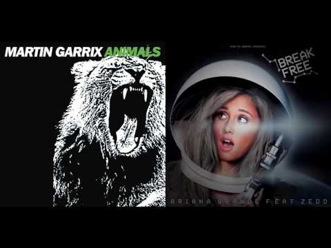 Martin Garrix vs. Ariana Grande ft. Zedd - Break The Animals (MashUp)