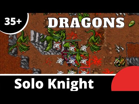 Venore Dragon Lair for Solo Knights 35+ [Tibia]