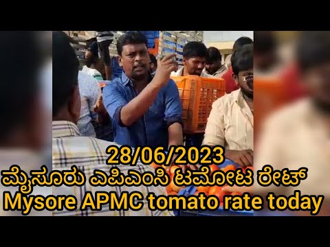 Mysore APMC tomato rate today/