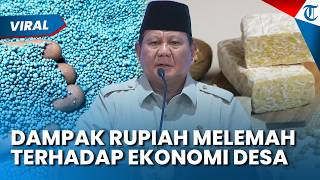 Dampak Melemahnya Rupiah terhadap Dolar AS kepada Orang Desa, Mulai dari Harga Pupuk hingga Tempe