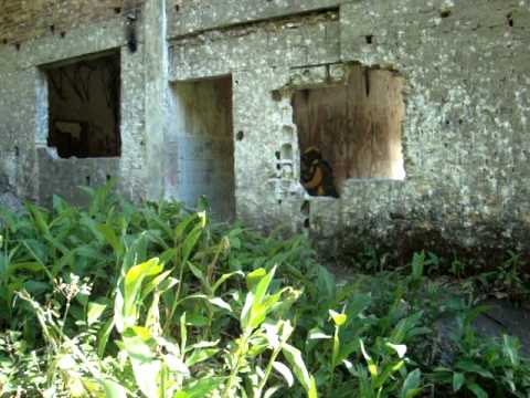 Briga  entre Dedê e Vivian.MPG