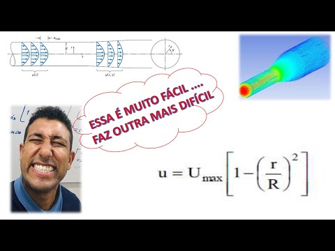 Análise de um Perfiil de Velocidade de um Fluido_Escoamento Uni e Bidimensional