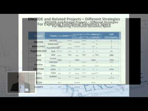 FANTOM, GTEx, LINCS, TCGA/ICGC, KOMP2/IMPC - Daniel Gilchrist