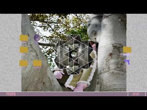 JPEGMAFIA - BasicBitchTearGas (Audio)