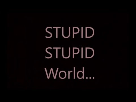 Talking kitty Stupid Stupid World - Lyrics