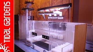 Sumps and why are they the greatest thing ever for reef aquariums