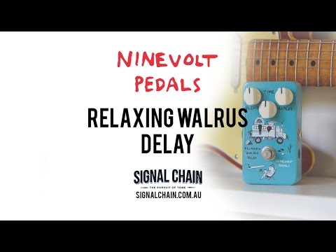 Animals Pedal Relaxing Walrus Delay V1 image 6
