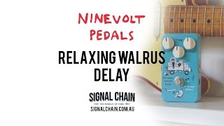 Video thumbnail for Ninevolt Pedals: RELAXING WALRUS DELAY by Brett Kingman
