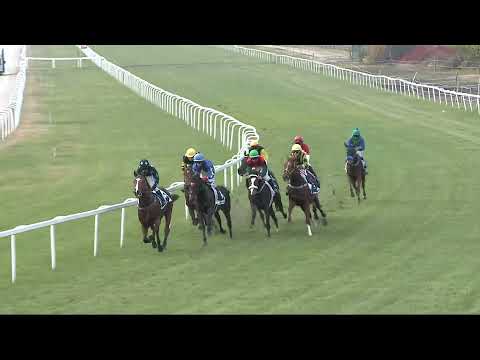 2021.11.07. 05. futam - KÉTÉVESEK KRITÉRIUMA (HUN Gd-3)