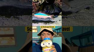 Download lagu HAMPIR SAJA KENA‼️ianhaggertytravel mp3 Download lagu HAMPIR SAJA KENA‼️ianhaggertytravel mp3