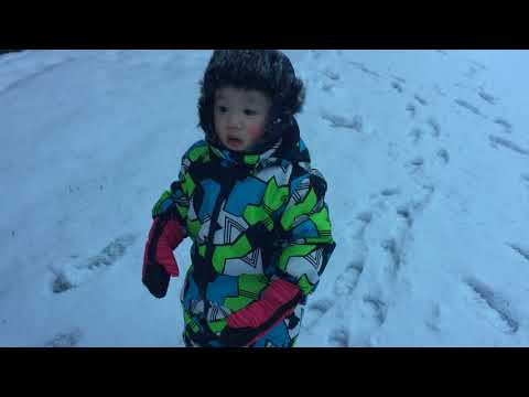 Our winter in Varnamo-Sweden 2018