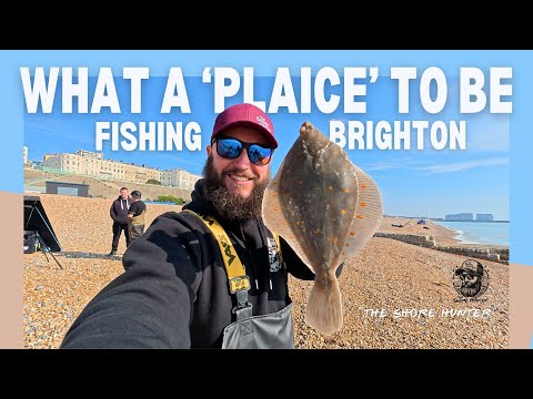 What a ‘Plaice’ to Be! Sunny Fishing in Brighton 🎣